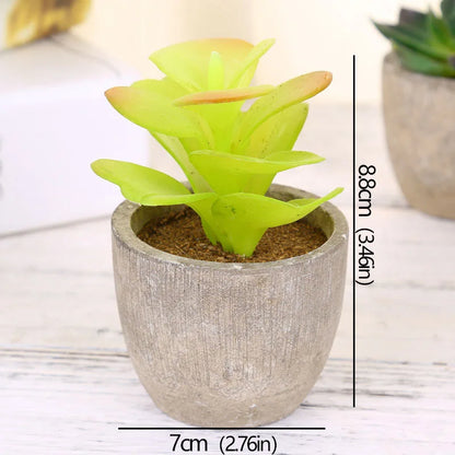 Mini Artificial Succulent Plants - Small Evergreen Pot Decor for Home and Office - ZOOMNSTORE