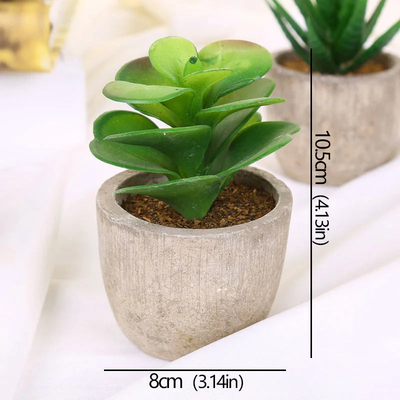 Mini Artificial Succulent Plants - Small Evergreen Pot Decor for Home and Office - ZOOMNSTORE