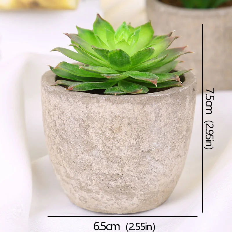 Mini Artificial Succulent Plants - Small Evergreen Pot Decor for Home and Office - ZOOMNSTORE