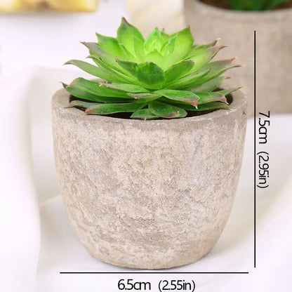 Mini Artificial Succulent Plants - Small Evergreen Pot Decor for Home and Office - ZOOMNSTORE