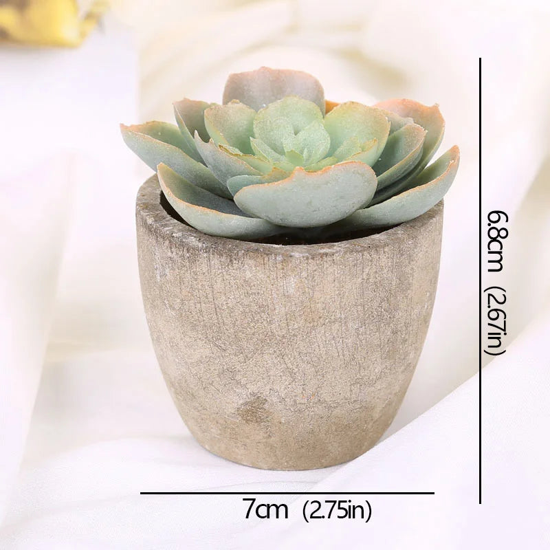 Mini Artificial Succulent Plants - Small Evergreen Pot Decor for Home and Office - ZOOMNSTORE