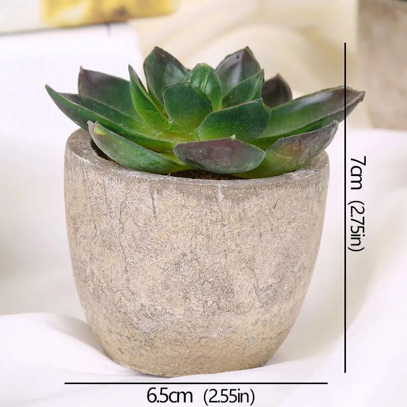 Mini Artificial Succulent Plants - Small Evergreen Pot Decor for Home and Office - ZOOMNSTORE