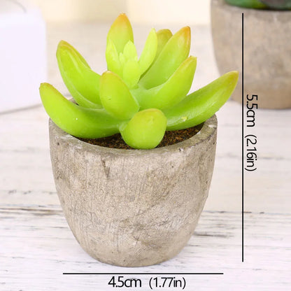 Mini Artificial Succulent Plants - Small Evergreen Pot Decor for Home and Office - ZOOMNSTORE