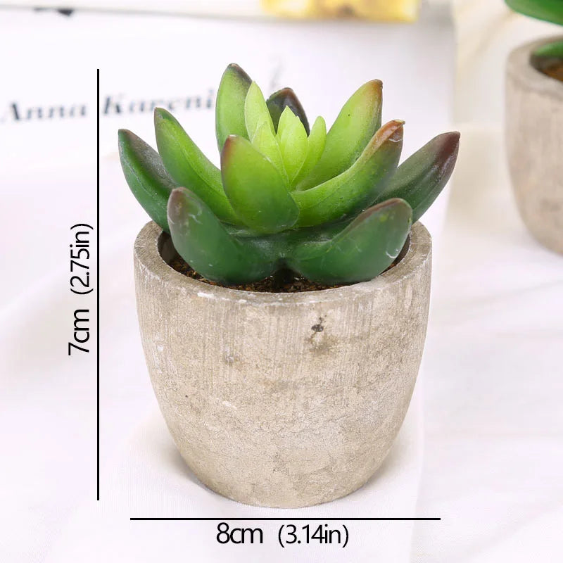 Mini Artificial Succulent Plants - Small Evergreen Pot Decor for Home and Office - ZOOMNSTORE
