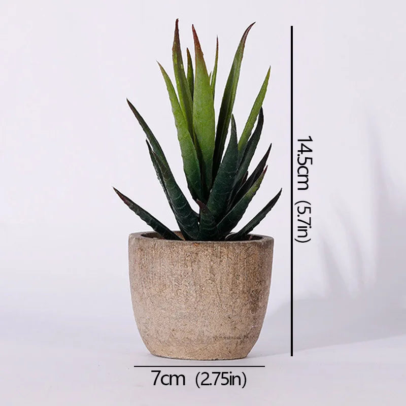 Mini Artificial Succulent Plants - Small Evergreen Pot Decor for Home and Office - ZOOMNSTORE
