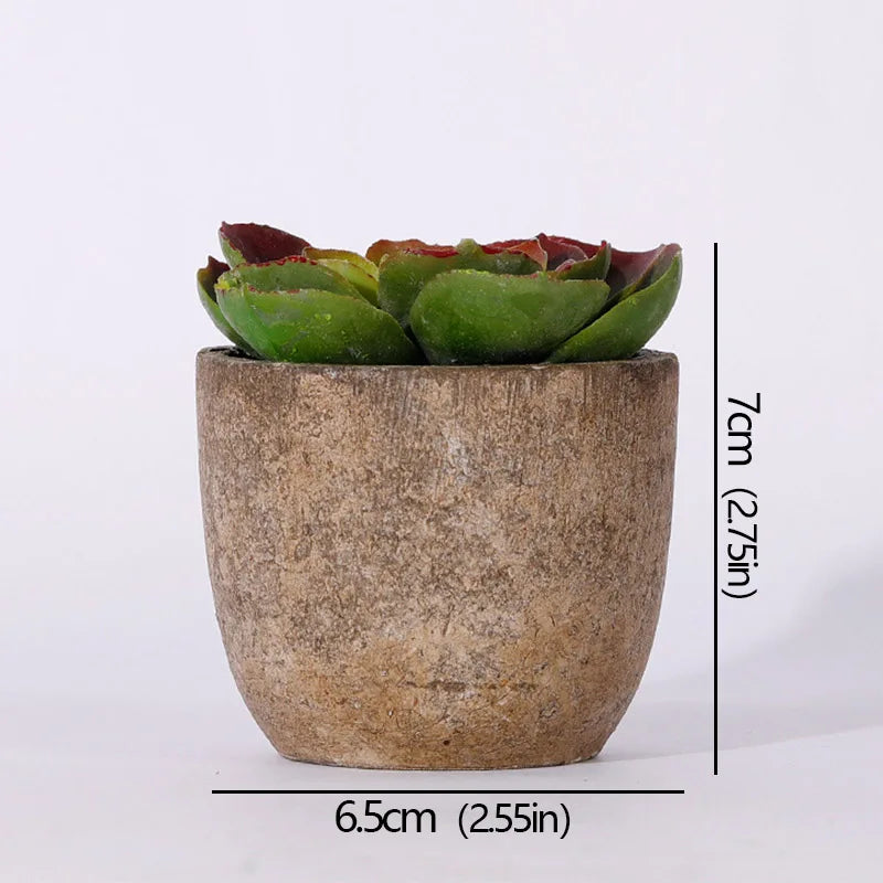 Mini Artificial Succulent Plants - Small Evergreen Pot Decor for Home and Office - ZOOMNSTORE