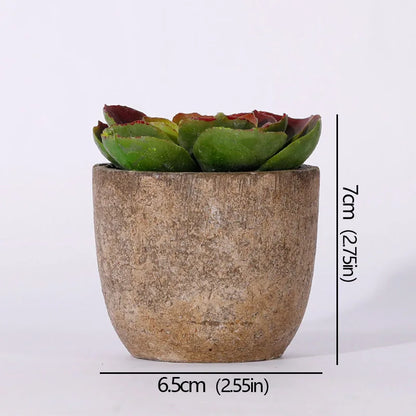 Mini Artificial Succulent Plants - Small Evergreen Pot Decor for Home and Office - ZOOMNSTORE