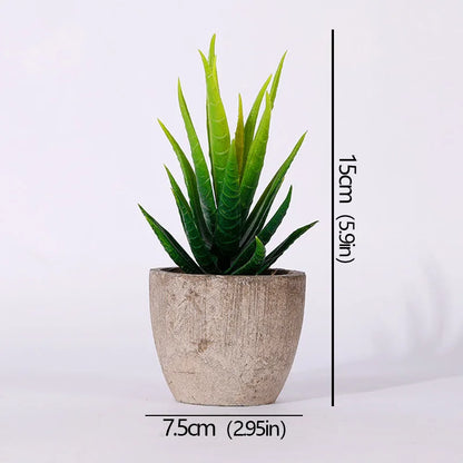 Mini Artificial Succulent Plants - Small Evergreen Pot Decor for Home and Office - ZOOMNSTORE