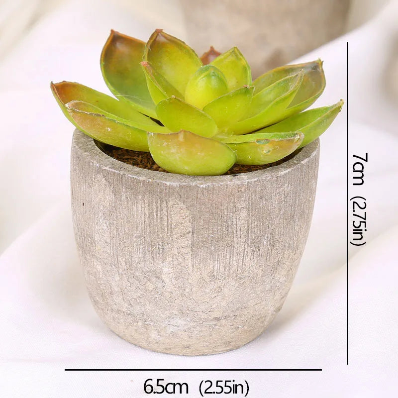 Mini Artificial Succulent Plants - Small Evergreen Pot Decor for Home and Office - ZOOMNSTORE