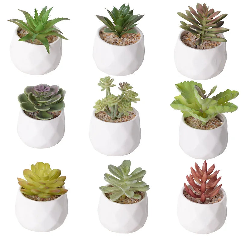 Artificial Succulent Cactus - Indoor Potted Plant Decor for Office  Garden - ZOOMNSTORE
