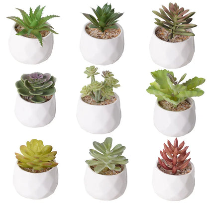 Artificial Succulent Cactus - Indoor Potted Plant Decor for Office  Garden - ZOOMNSTORE