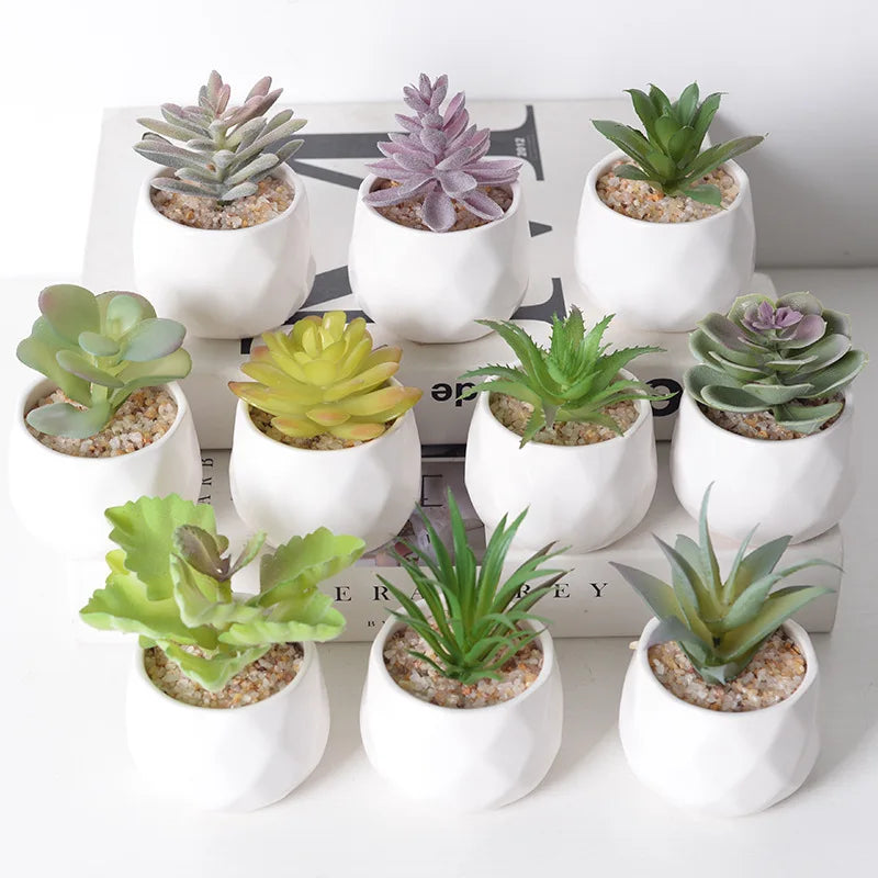 Artificial Succulent Cactus - Indoor Potted Plant Decor for Office  Garden - ZOOMNSTORE
