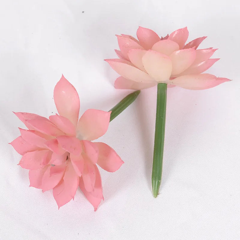 Artificial Succulent Cactus - Indoor Potted Plant Decor for Office  Garden - ZOOMNSTORE