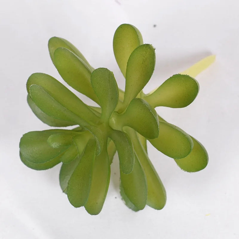 Artificial Succulent Cactus - Indoor Potted Plant Decor for Office  Garden - ZOOMNSTORE