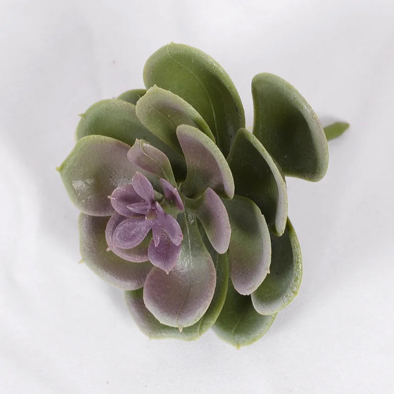 Artificial Succulent Cactus - Indoor Potted Plant Decor for Office  Garden - ZOOMNSTORE