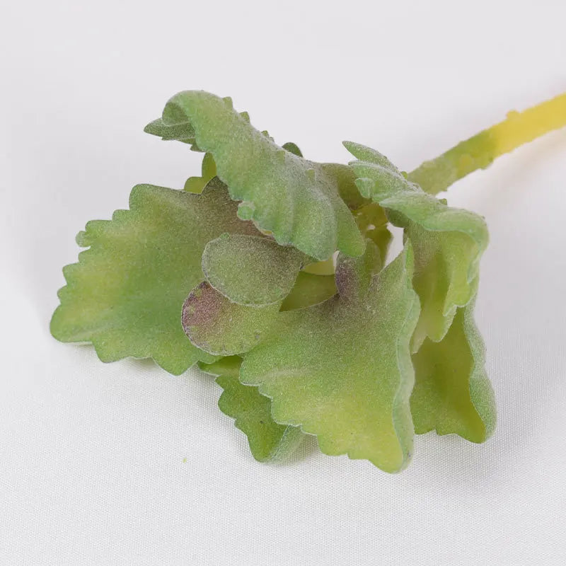 Artificial Succulent Cactus - Indoor Potted Plant Decor for Office  Garden - ZOOMNSTORE