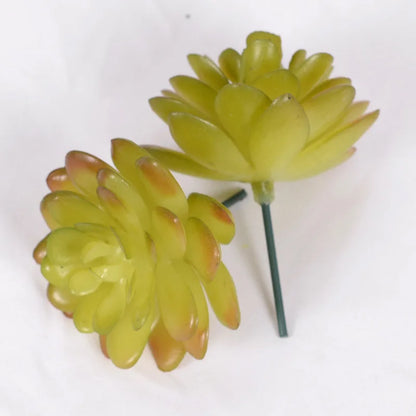 Artificial Succulent Cactus - Indoor Potted Plant Decor for Office  Garden - ZOOMNSTORE