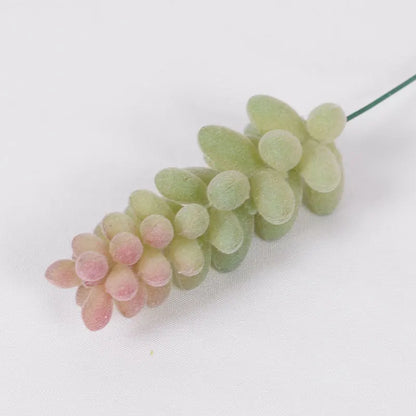 Artificial Succulent Cactus - Indoor Potted Plant Decor for Office  Garden - ZOOMNSTORE