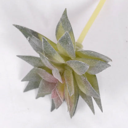 Artificial Succulent Cactus - Indoor Potted Plant Decor for Office  Garden - ZOOMNSTORE