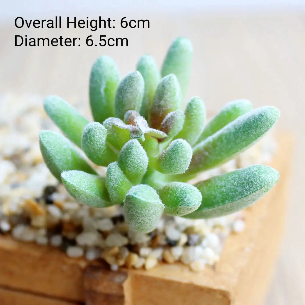 Green Artificial Succulents - Flocking Home Garden Decoration - ZOOMNSTORE