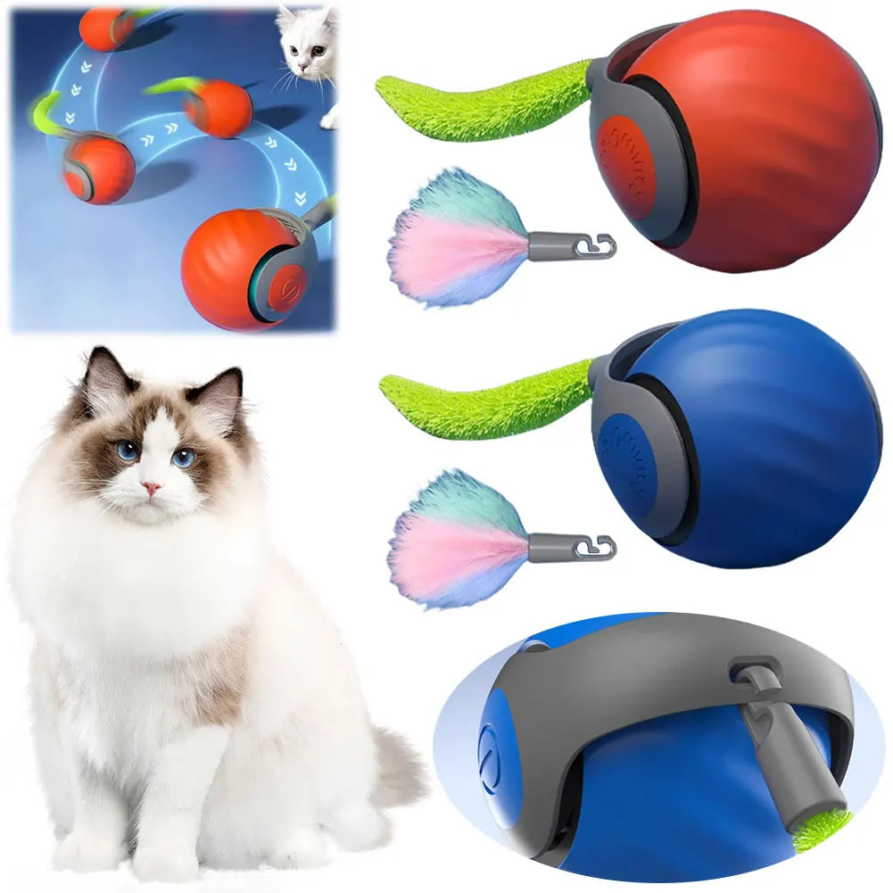 Automatic Cat Toy Ball – USB Rechargeable Dual Speed Interactive Cat Toy With Tail - ZOOMNSTORE