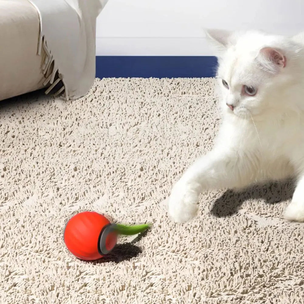 Automatic Cat Toy Ball – USB Rechargeable Dual Speed Interactive Cat Toy With Tail - ZOOMNSTORE
