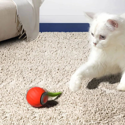 Automatic Cat Toy Ball – USB Rechargeable Dual Speed Interactive Cat Toy With Tail - ZOOMNSTORE