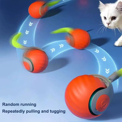 Automatic Cat Toy Ball – USB Rechargeable Dual Speed Interactive Cat Toy With Tail - ZOOMNSTORE