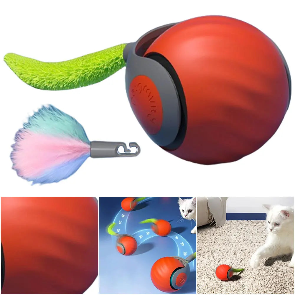 Automatic Cat Toy Ball – USB Rechargeable Dual Speed Interactive Cat Toy With Tail - ZOOMNSTORE