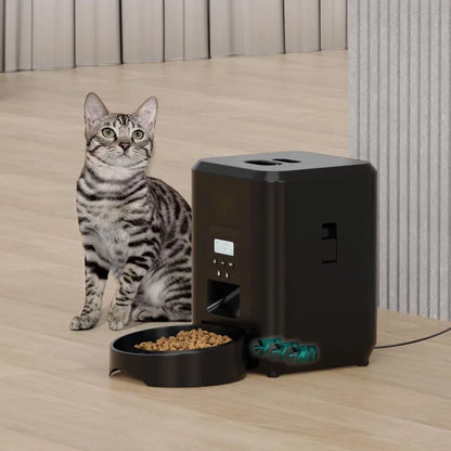 Automatic Pet Feeder - Timed Cat and Dog Food Dispenser - ZOOMNSTORE