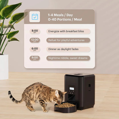 Automatic Pet Feeder - Timed Cat and Dog Food Dispenser - ZOOMNSTORE