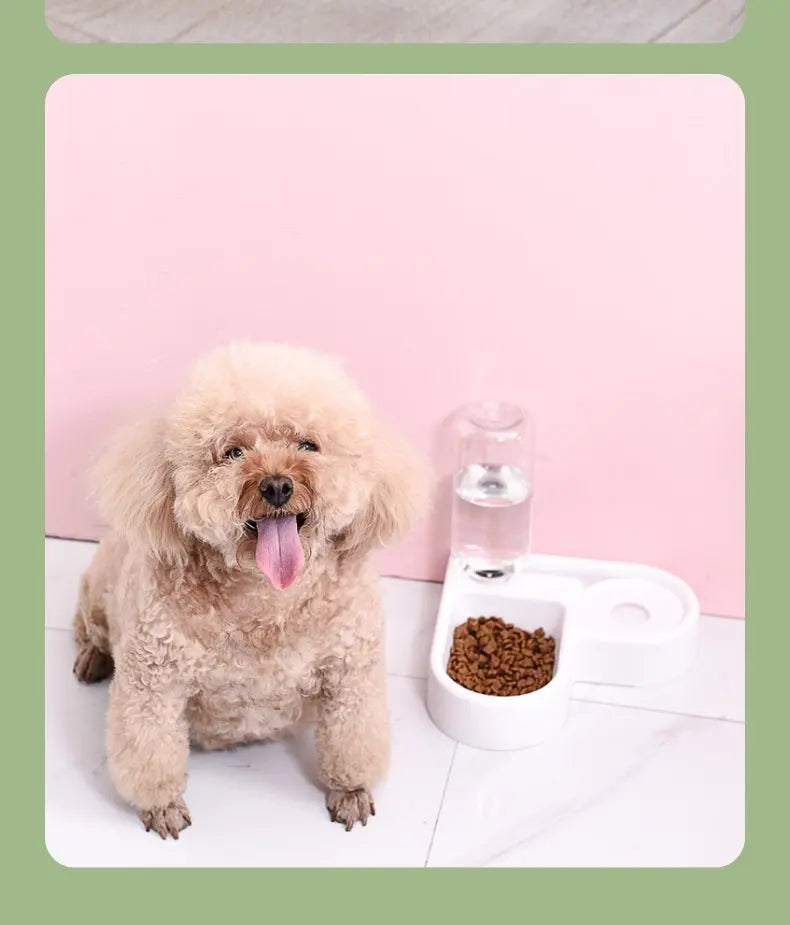 Automatic Pet Feeder - Universal Dog and Cat Basin with Water Dispenser Bowl - ZOOMNSTORE