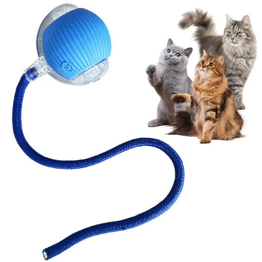 Automatic Rolling Cat Ball – USB Rechargeable Smart Pet Toy with Tail Lamp - ZOOMNSTORE