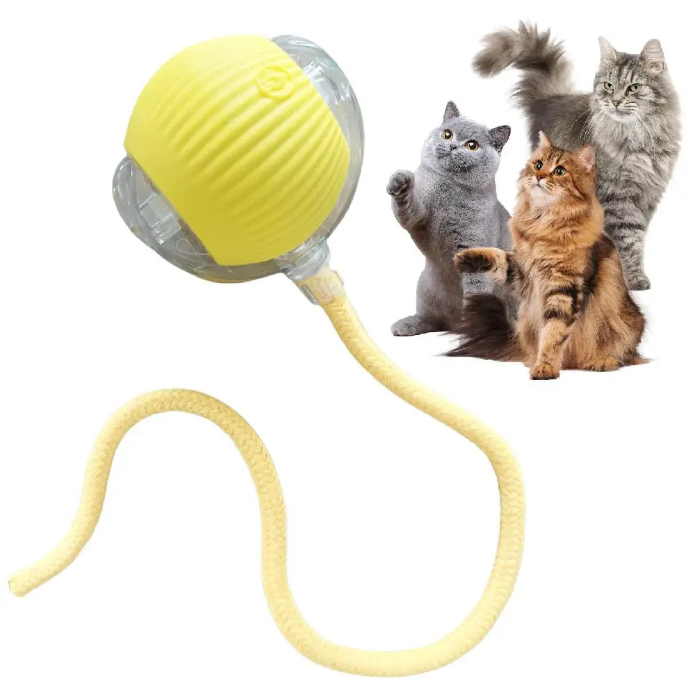 Automatic Rolling Cat Ball – USB Rechargeable Smart Pet Toy with Tail Lamp - ZOOMNSTORE
