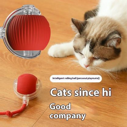 Automatic Rolling Cat Ball – USB Rechargeable Smart Pet Toy with Tail Lamp - ZOOMNSTORE