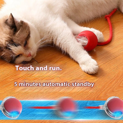 Automatic Rolling Cat Ball – USB Rechargeable Smart Pet Toy with Tail Lamp - ZOOMNSTORE