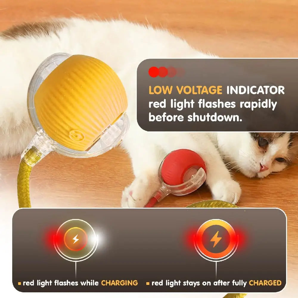 Automatic Rolling Cat Ball – USB Rechargeable Smart Pet Toy with Tail Lamp - ZOOMNSTORE