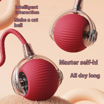 Automatic Rolling Cat Ball – USB Rechargeable Smart Pet Toy with Tail Lamp - ZOOMNSTORE