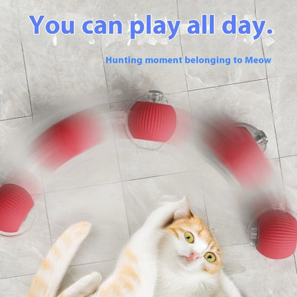 Automatic Rolling Cat Ball – USB Rechargeable Smart Pet Toy with Tail Lamp - ZOOMNSTORE