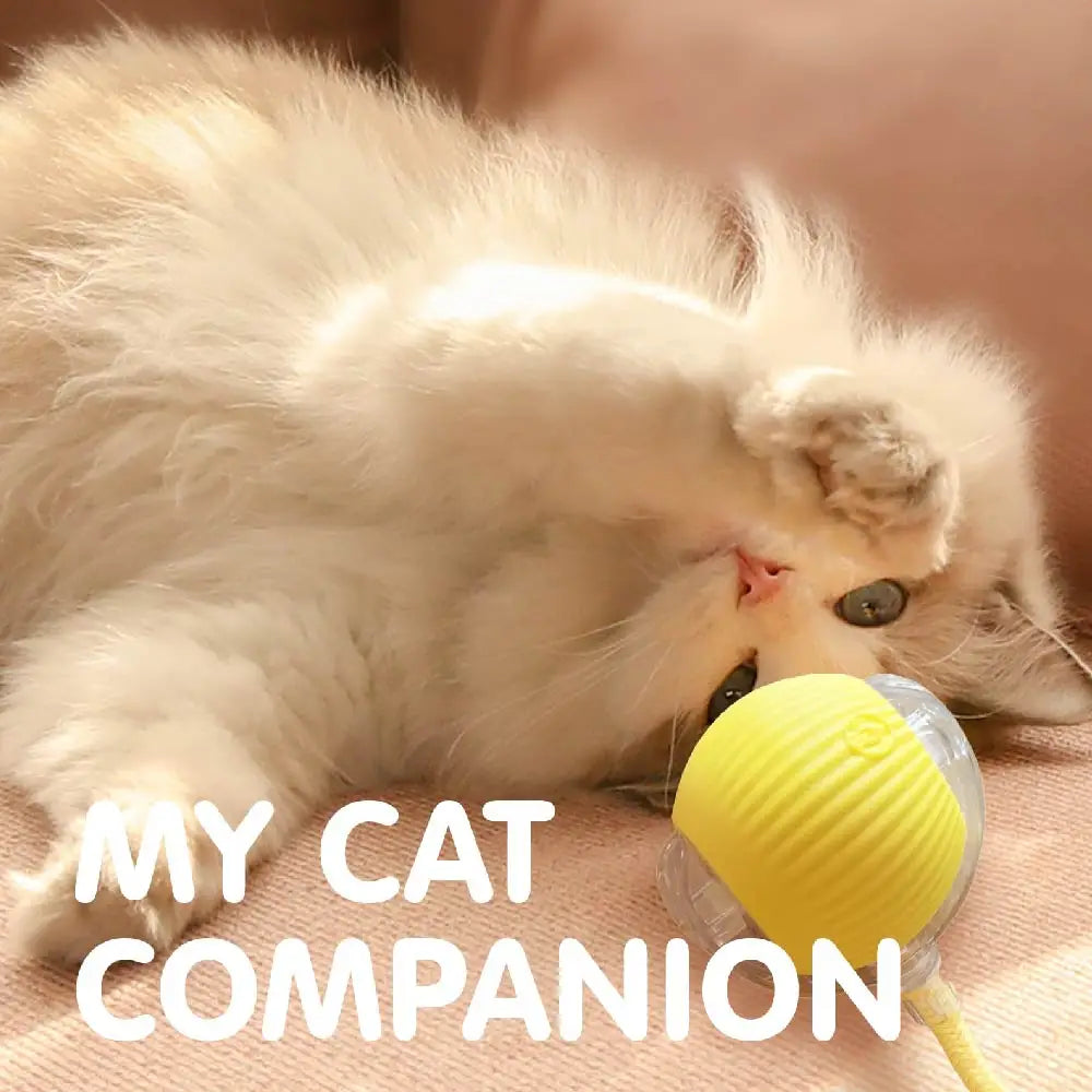 Automatic Rolling Cat Ball – USB Rechargeable Smart Pet Toy with Tail Lamp - ZOOMNSTORE