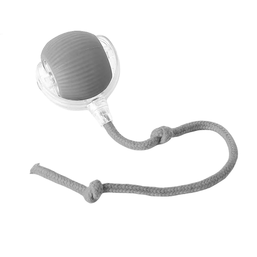 Automatic Rolling Cat Ball – USB Rechargeable Smart Pet Toy with Tail Lamp - ZOOMNSTORE