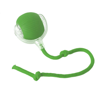 Automatic Rolling Cat Ball – USB Rechargeable Smart Pet Toy with Tail Lamp - ZOOMNSTORE