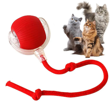 Automatic Rolling Cat Ball – USB Rechargeable Smart Pet Toy with Tail Lamp - ZOOMNSTORE