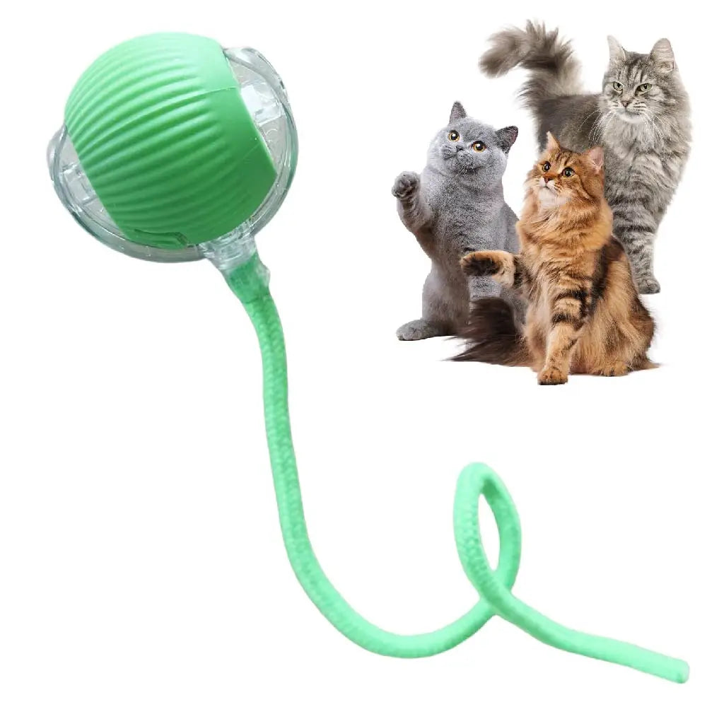 Automatic Rolling Cat Ball – USB Rechargeable Smart Pet Toy with Tail Lamp - ZOOMNSTORE