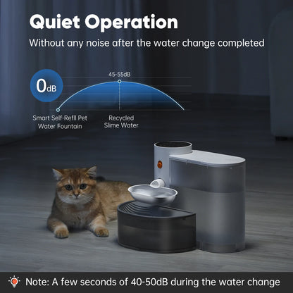Automatic Stainless Steel Pet Water Dispenser - Purifying Bowl for Cats - ZOOMNSTORE