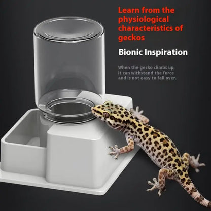 Automatic Water Feeder – Durable Plastic Feeder With Anti-Drowning Design For Tortoise & Lizard - ZOOMNSTORE