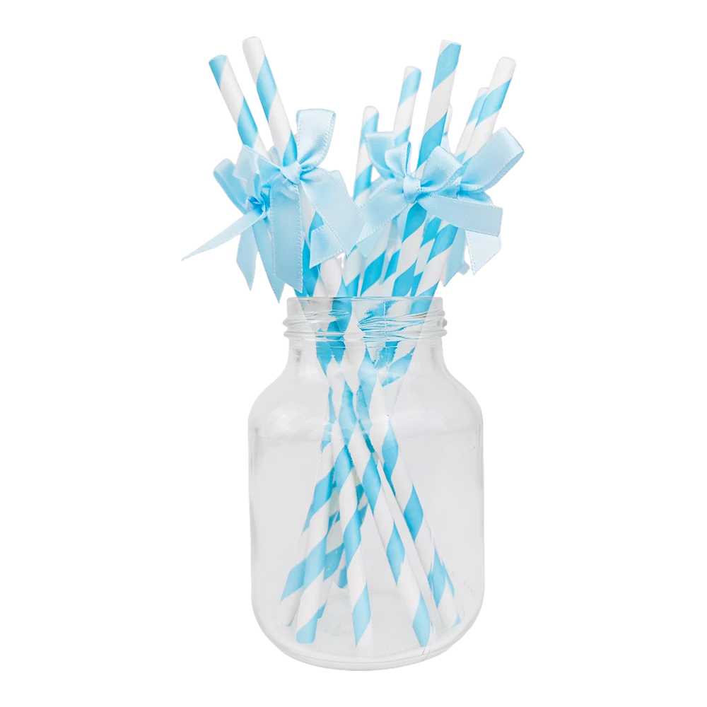 Blue Brown Bear Party Set - Disposable Plates Napkins Cups for Baby Shower or Birthday - ZOOMNSTORE