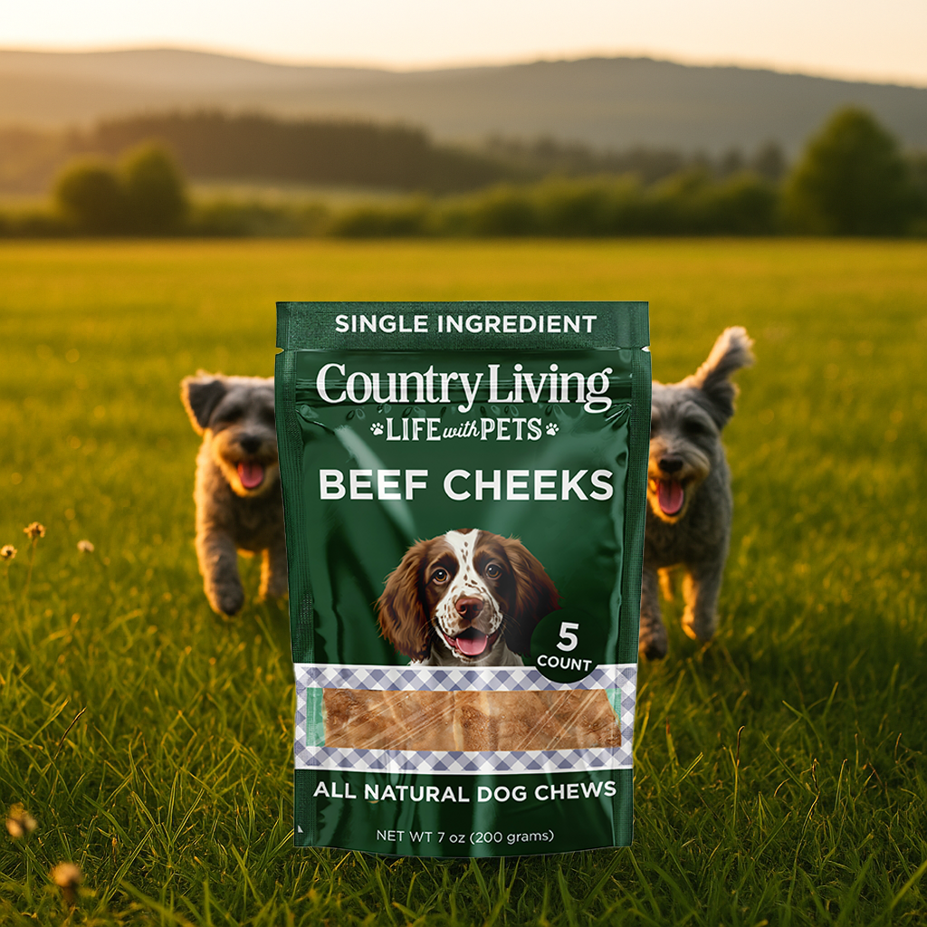 Country Living 4” x 4” Beef Cheek Chip Dog Treats – Chicken Flavor – 5 Count Bag – All-Natural, High-Protein, Long-Lasting Dog Chews - ZOOMNSTORE