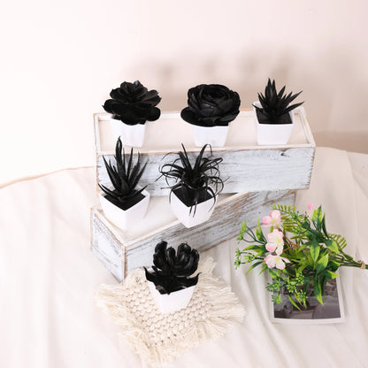 Black Artificial Succulents - 6PCS Small Potted Plants for Home  Office Decor - ZOOMNSTORE