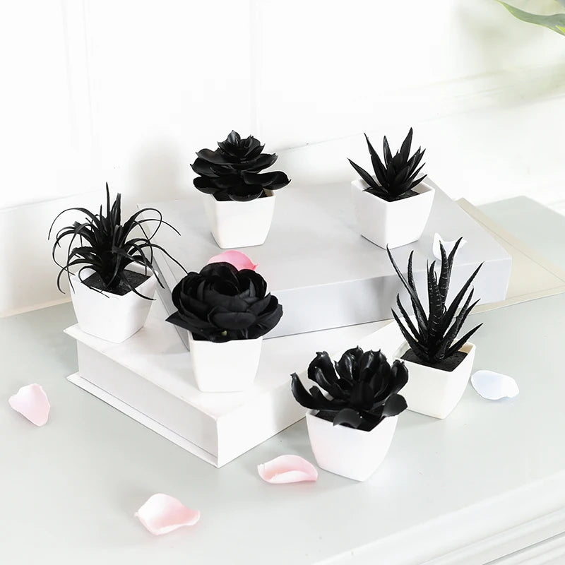 Black Artificial Succulents - 6PCS Small Potted Plants for Home  Office Decor - ZOOMNSTORE